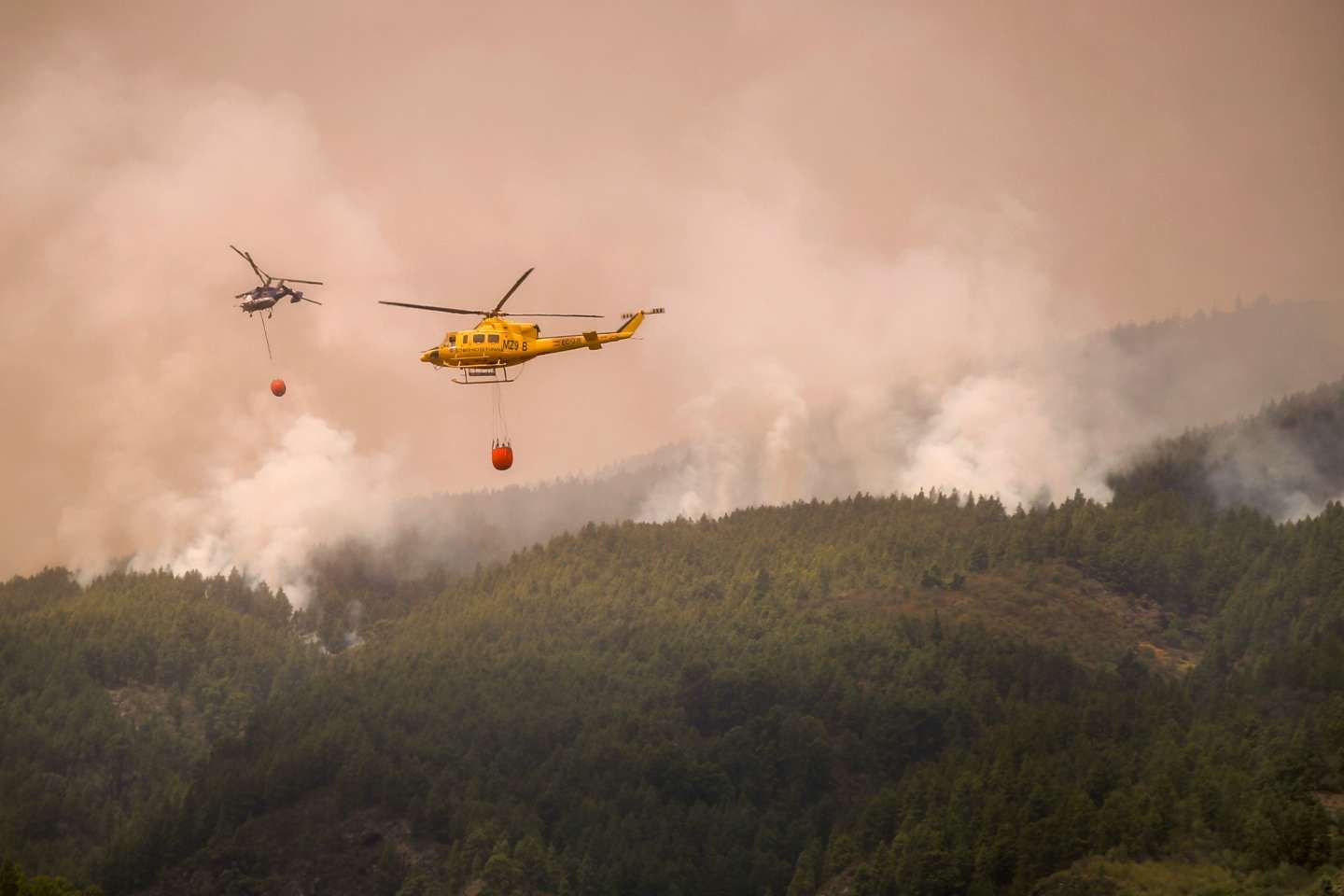 Canaries : l’incendie fait toujours rage sur l’île de Tenerife