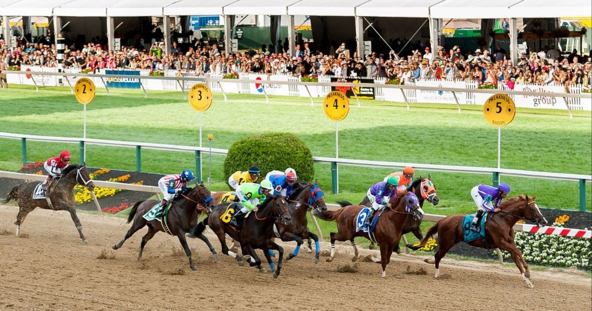 Where to watch the 2023 Preakness Stakes: live stream for free