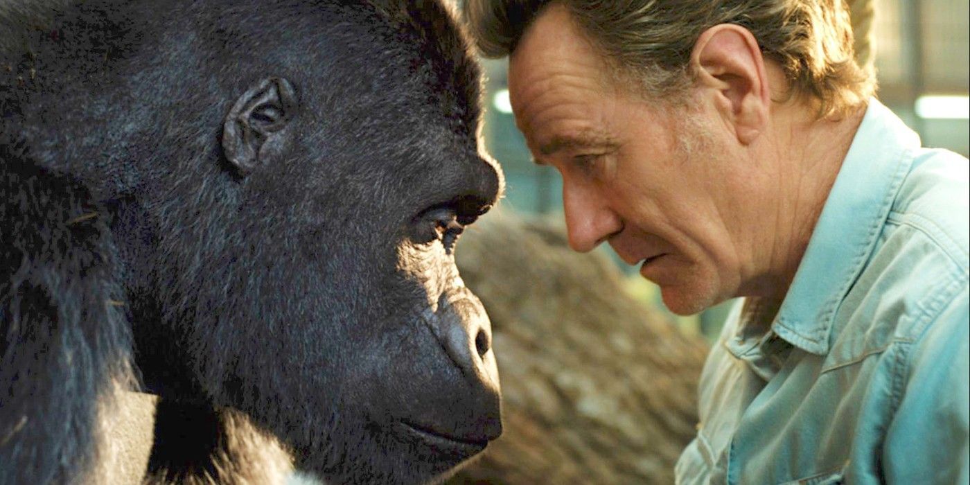 Bryan Cranston Has Emotional Response To Movie Being Removed From Disney Plus