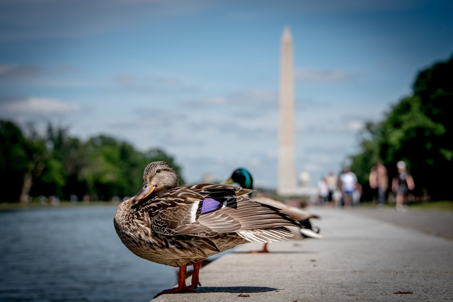 D.C.-area forecast: Comfortably warm and dry through at least tomorrow