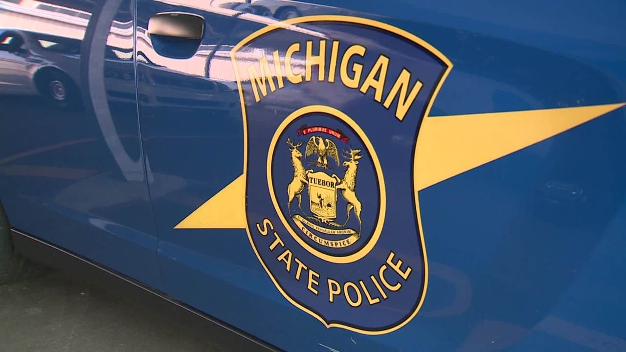 Trooper hit during pursuit of wrong-way driver on US-131