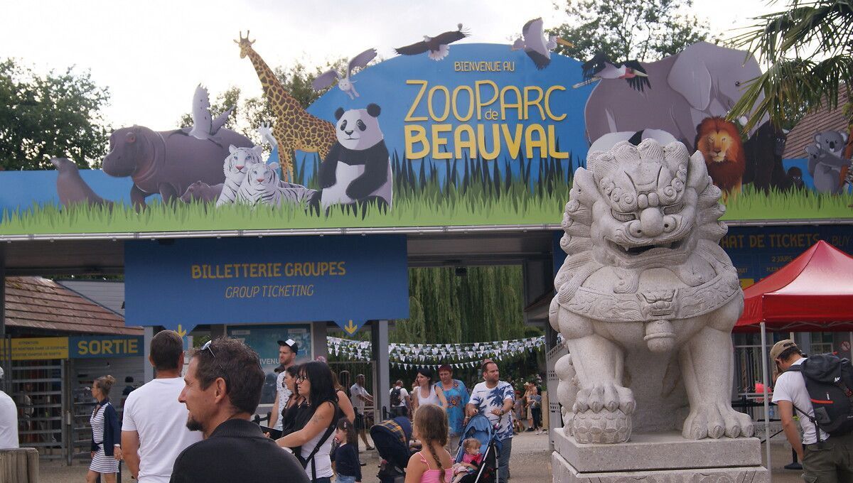 Zoo de Beauval : un record d'affluence à l'Ascension