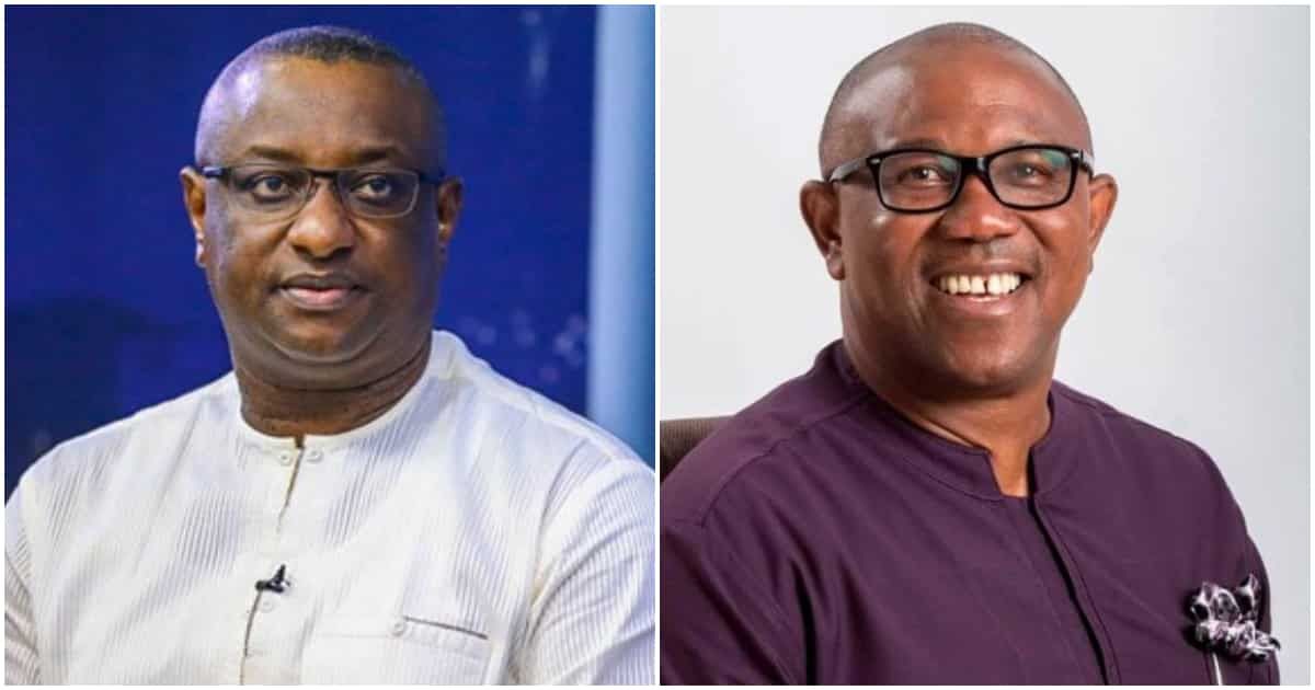 Strong APC Chieftain Reacts as Peter Obi Demands 7 Weeks to Produce 50 Witnesses at Tribunal