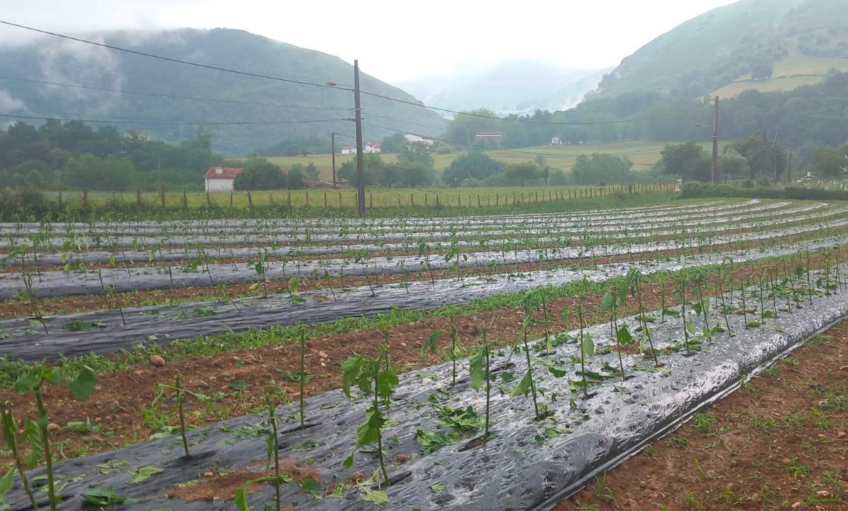 Orages au Pays Basque : de nombreux dégâts à déplorer