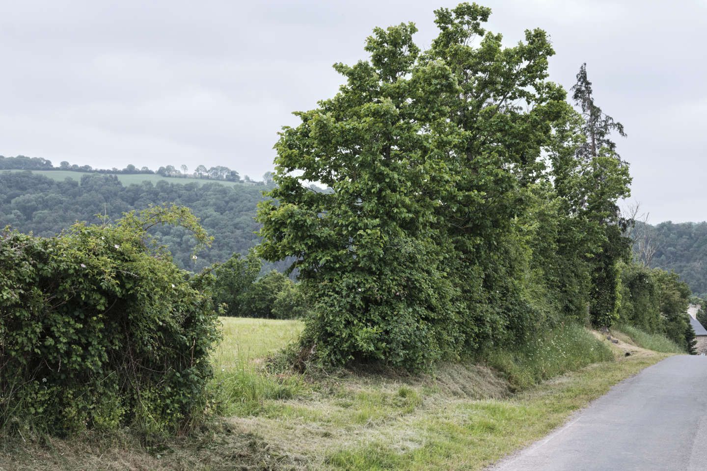 Le projet de stratégie pour la biodiversité en France enfin dévoilé