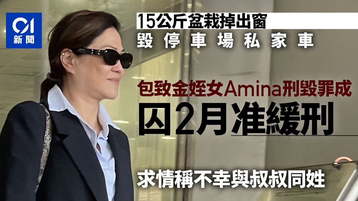 包致金姪女Amina擲花盆毀車 報告指傾向以激進方式抒發 准緩刑