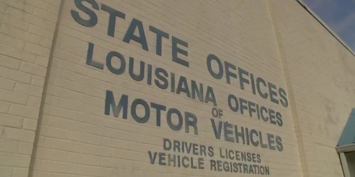 La. OMV offers free credit monitoring, identify theft protection after cyber breach