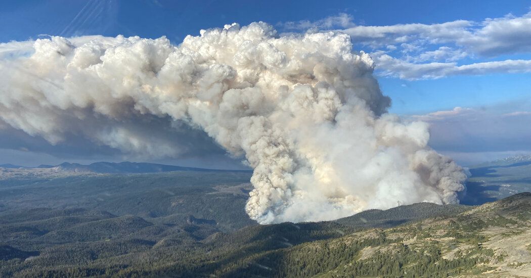 How to Fight Canada’s Wildfires in the Era of Climate Change