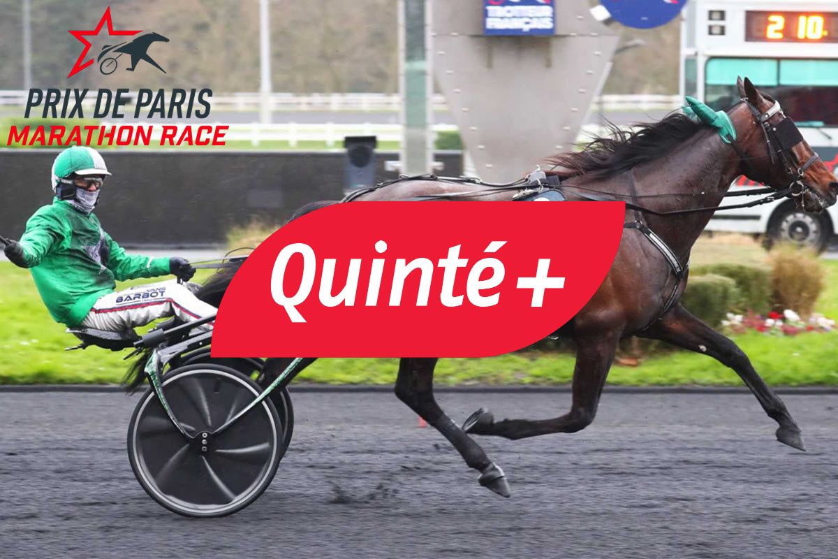 Pronostics Quinté du dimanche 23 février (Prix de Paris) : partants, analyse et cotes