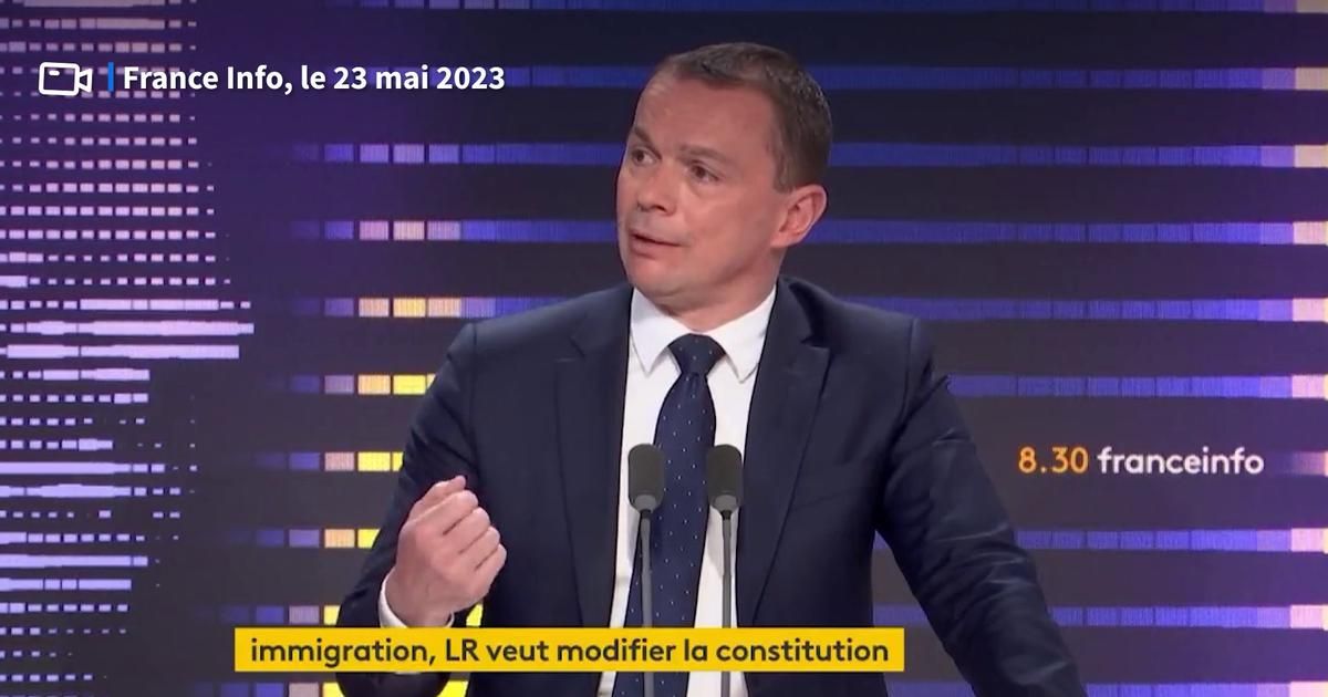 Immigration : Olivier Dussopt juge "assez impossible" de réviser la Constitution sur ce sujet