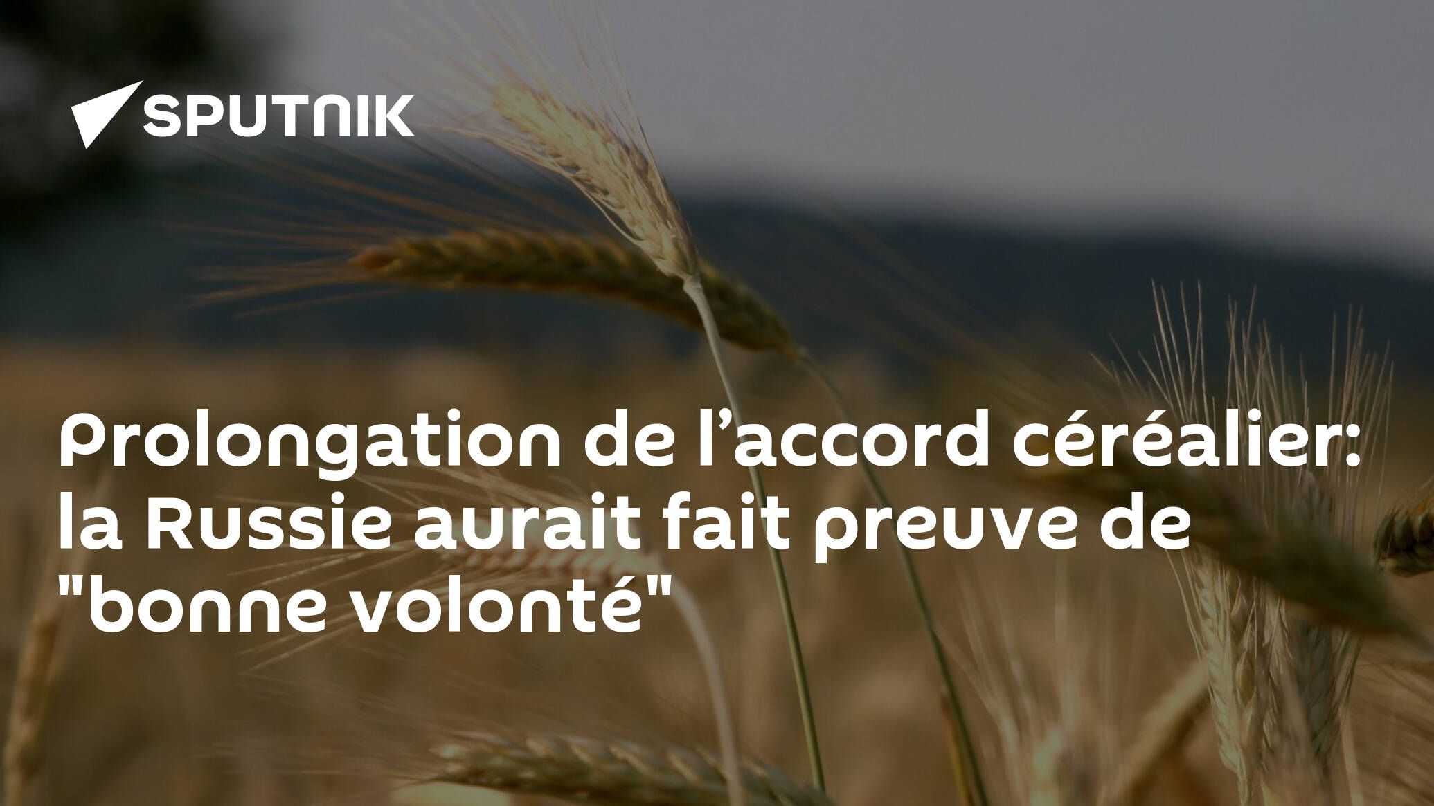 Prolongation de l’accord céréalier: la Russie aurait fait preuve de "bonne volonté"