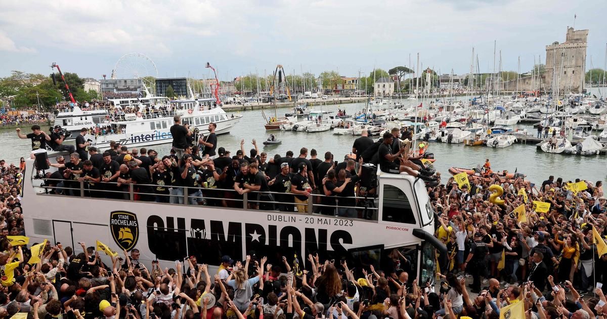 Champions Cup : le beau geste du Stade Rochelais envers leurs supporters présents à Dublin