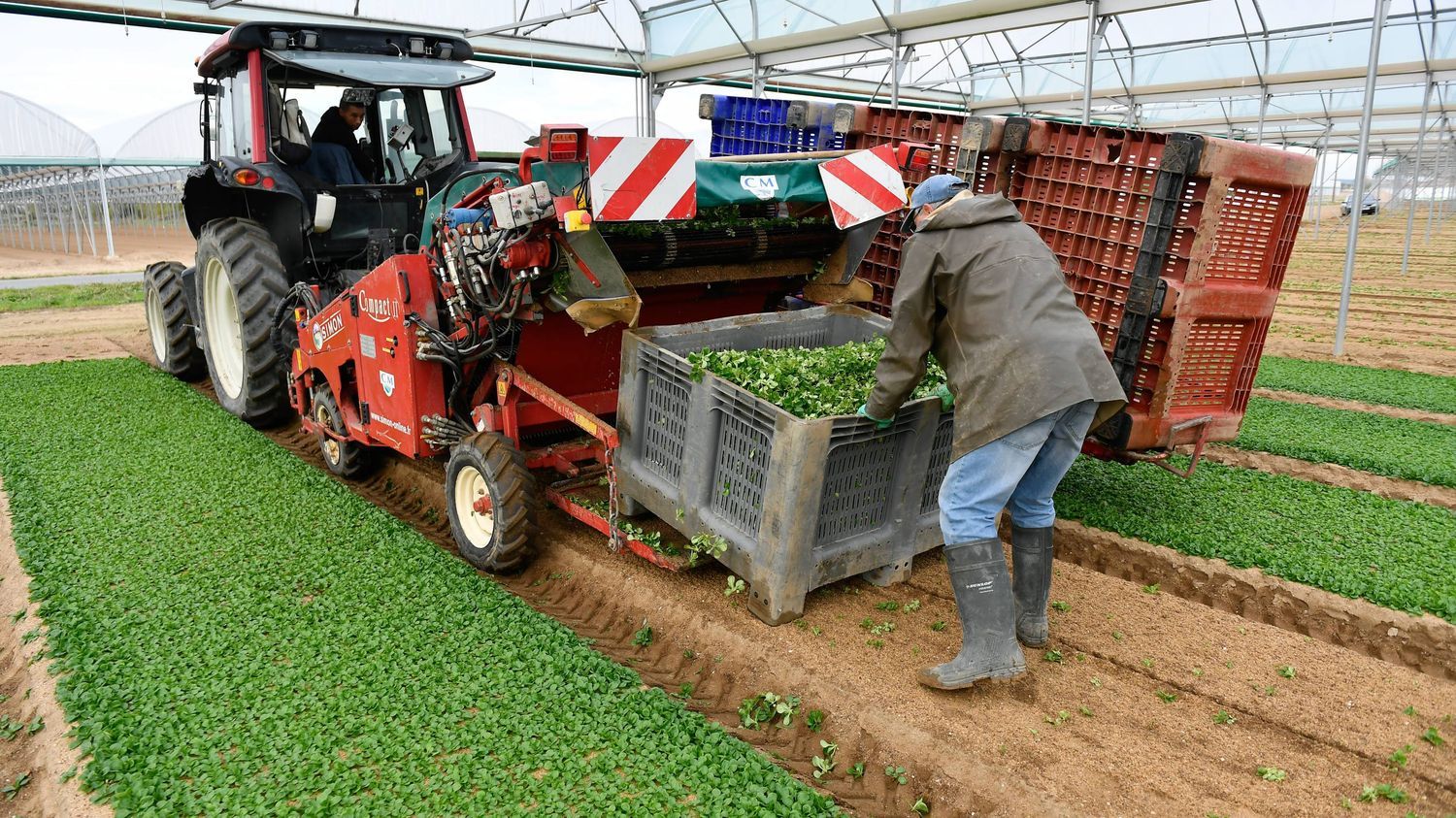 Maine-et-Loire : une entreprise agricole condamnée pour l'intoxication d'une soixantaine de personnes après l'épandage d'un pesticide en 2018