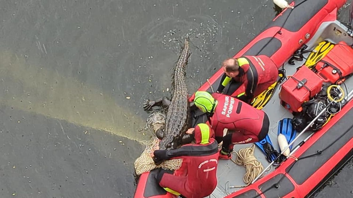 Dordogne : fausse alerte au crocodile à Bergerac