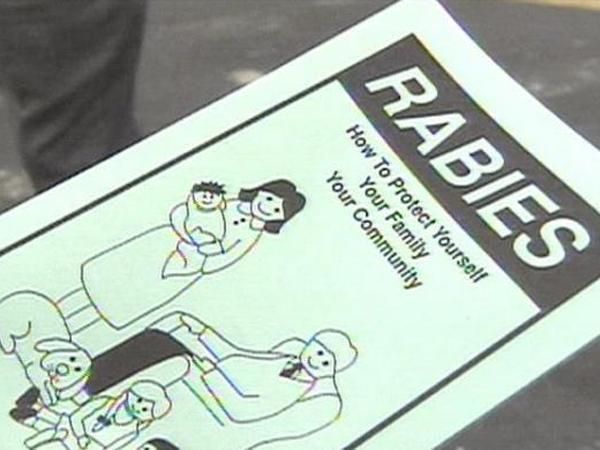 Wake County issues rabies notice after 5 people test positive in a Wake Forest neighborhood