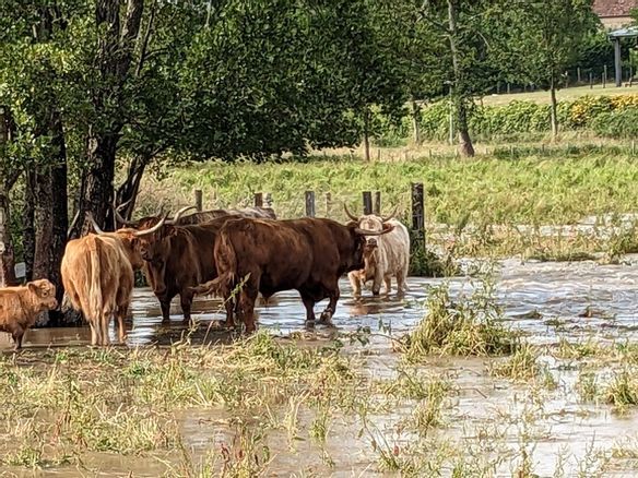 Plusieurs étangs ont débordé, 9 personnes évacuées, une cellule de crise mise en place à Aubigny-sur-Nère