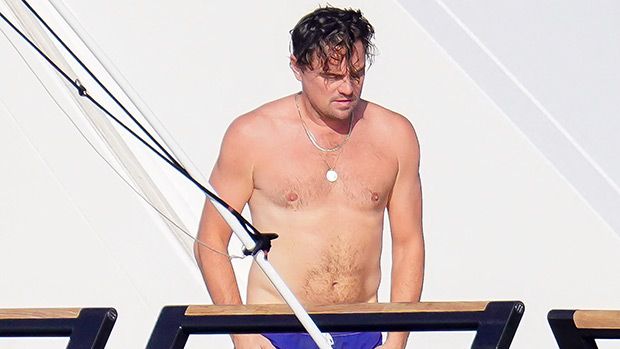 Leonardo DiCaprio Seen Shirtless On Yacht In St. Tropez: Photo