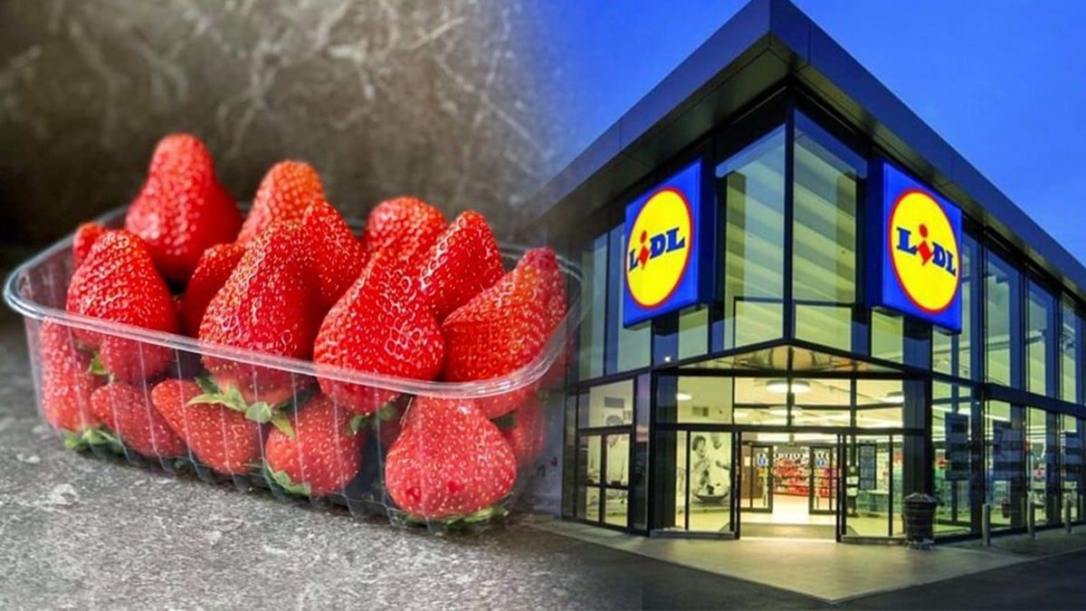 Elle se rend chez Lidl et achète une barquette de fraises, elle fait une découverte terrifiante