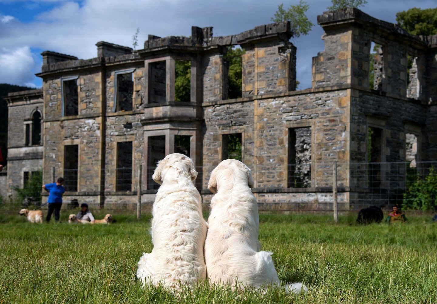 Guisachan: The birthplace of the golden retriever in Scotland