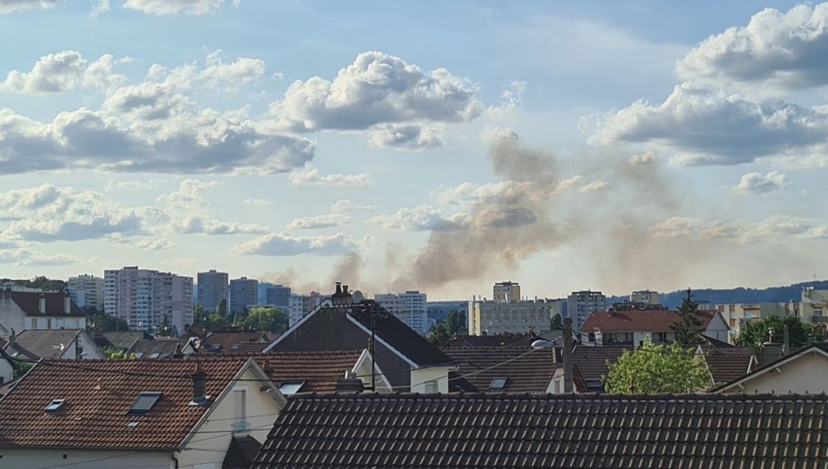 Deux hectares brûlés à la Combe à la Serpent à Dijon : des enfants suspectés d'être à l'origine de l'incendie