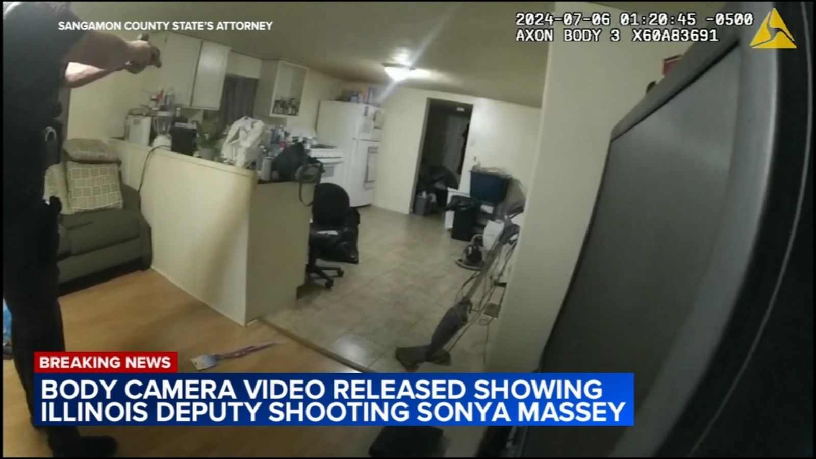 Bodycam video reveals chaotic scene of deputy fatally shooting IL Black woman who called 911