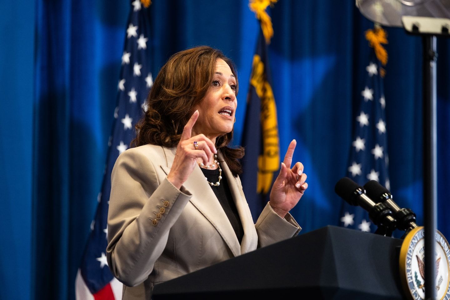 Where Kamala Harris stands on key issues