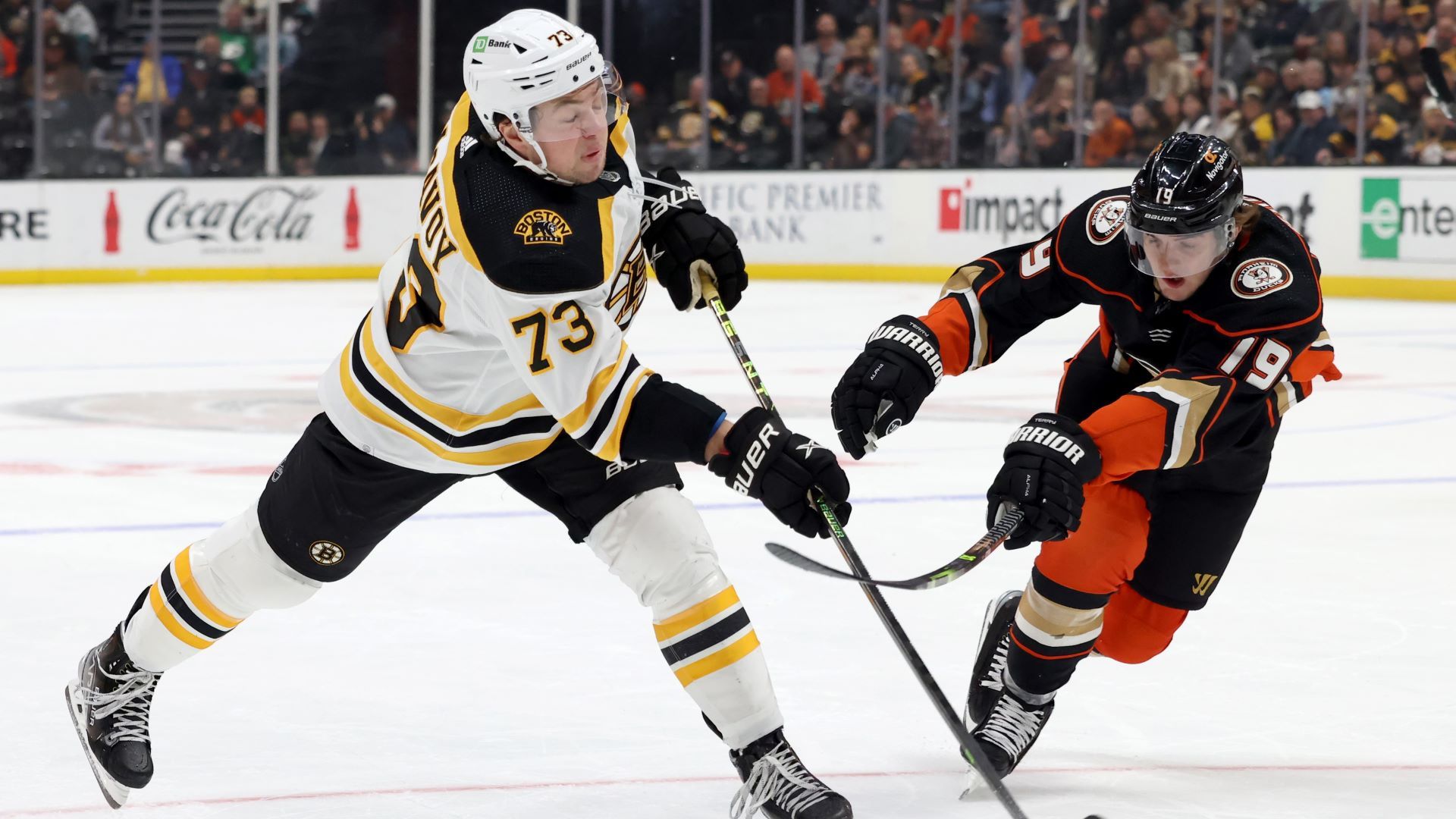 Projected Bruins-Ducks Lines