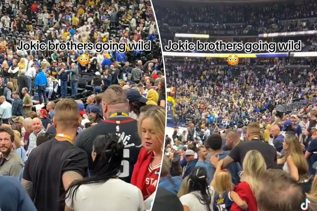 Cops looking for fan punched by Nikola Jokic's brother