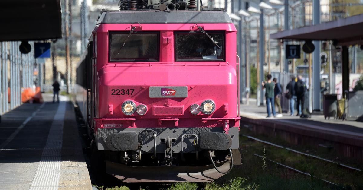 Billets Ouigo à 1 euro : l'opération de la SNCF soulève colère et déception