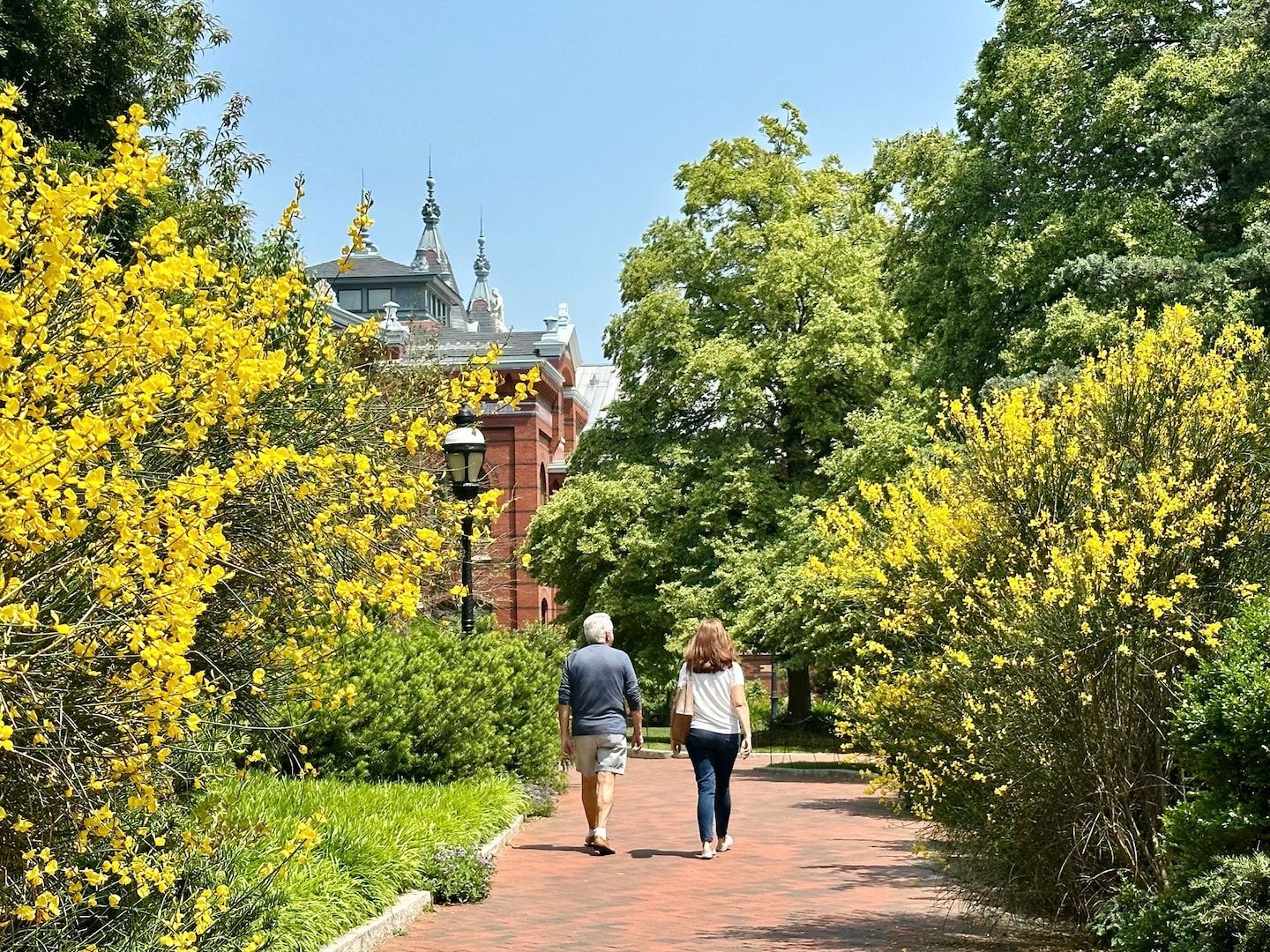 D.C.-area forecast: More stellar weather until holiday weekend rain chances