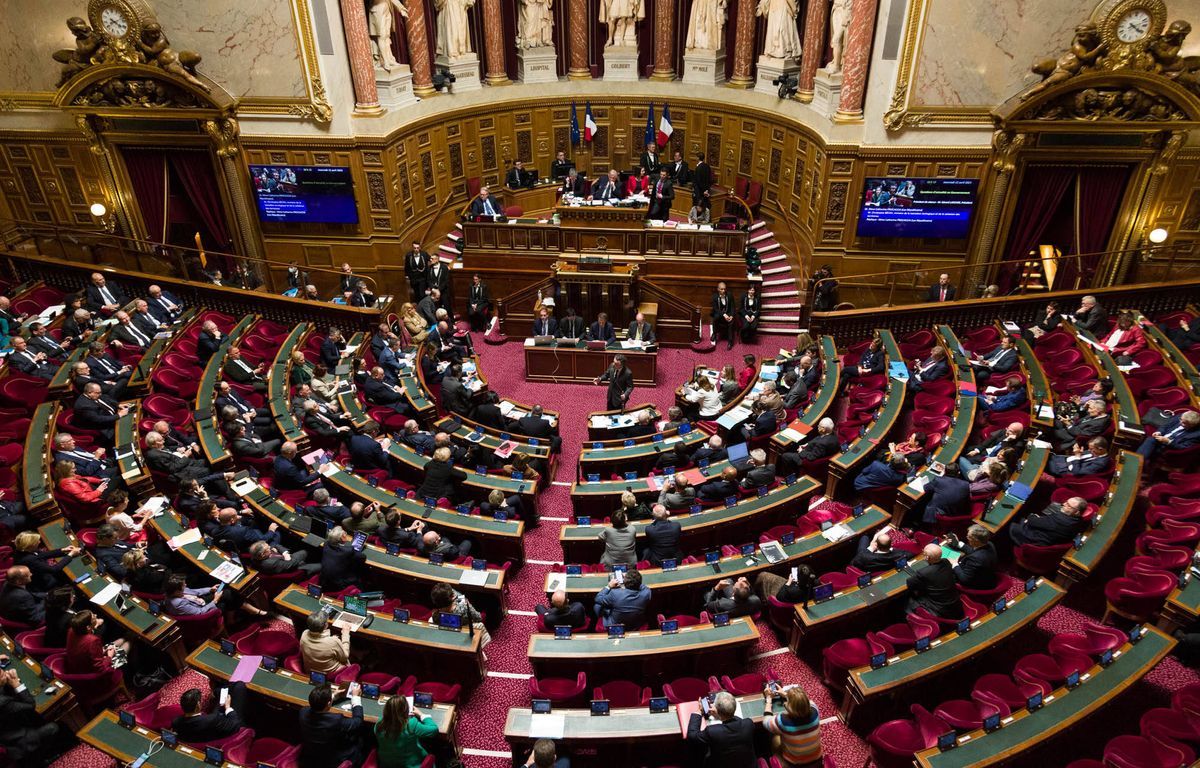 Réseaux sociaux : Le Sénat vote un accord parental obligatoire pour les moins de 15 ans