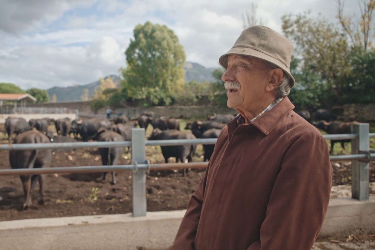 " Mozzarella, une vaste bufflonnerie ? ", sur France 5 : le pire et le meilleur d’un fromage " pâte à modeler "