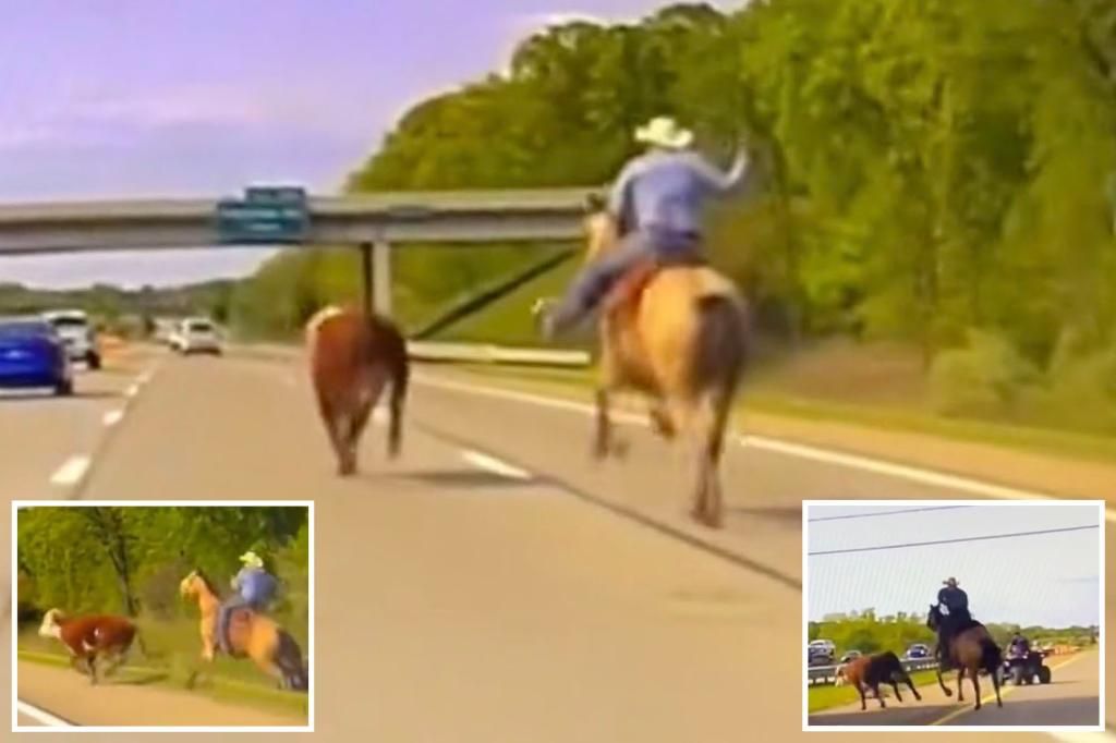 Wrangler on horseback lassoes on Michigan highway