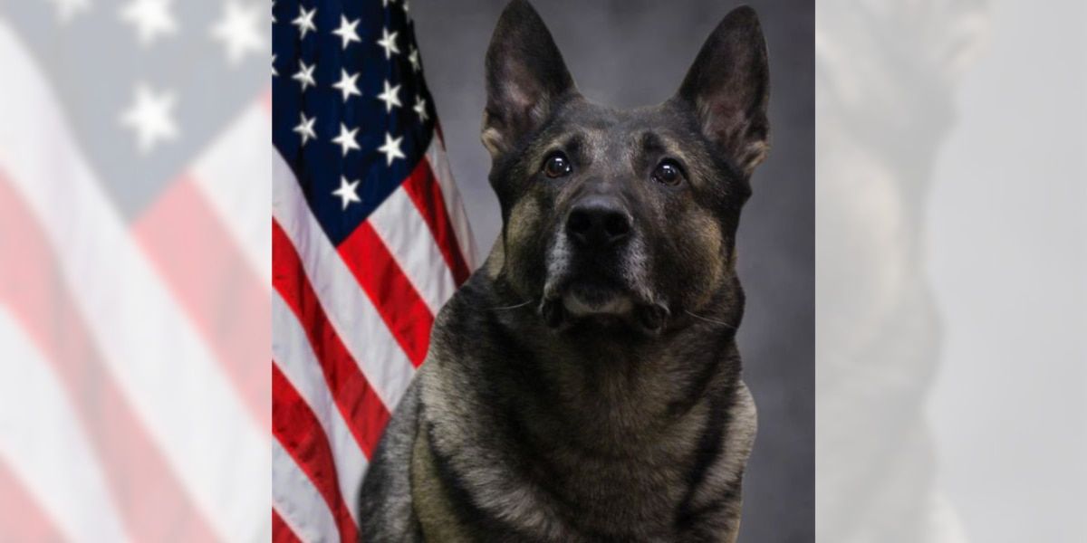 Monroe Co. Sheriff’s deputy resigns after K-9 partner dies