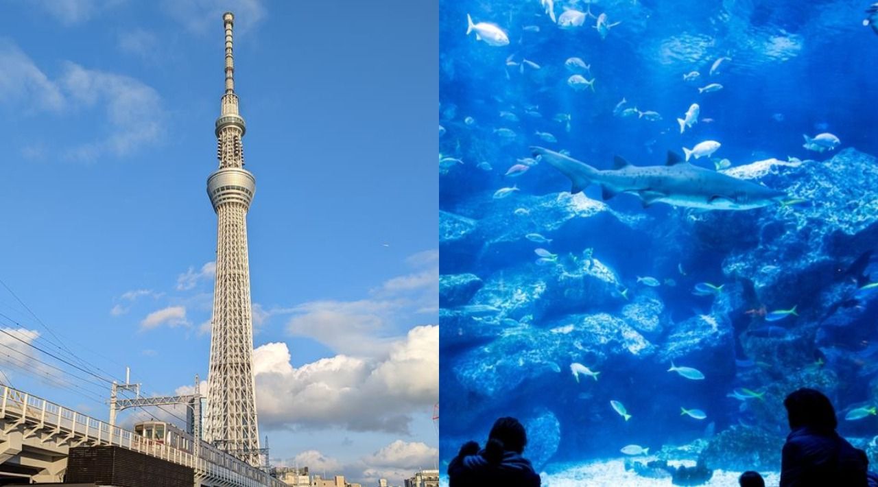 旅日遊客最愛日本景點 TOP 10 大公開！猜猜第一名景點是哪裡呢？(下)
