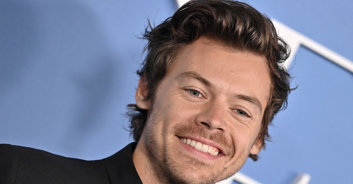 Harry Styles Pauses Show So Pregnant Woman Can Pee And Not Miss A Song