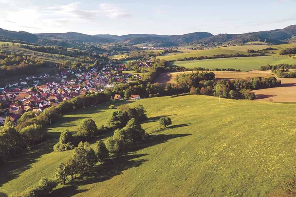 Forêts, vignes, prés… Les prix du foncier à connaître