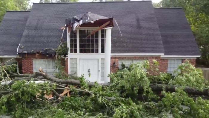 Arborist: Why more trees uprooted than snapped during Wednesday’s severe storms