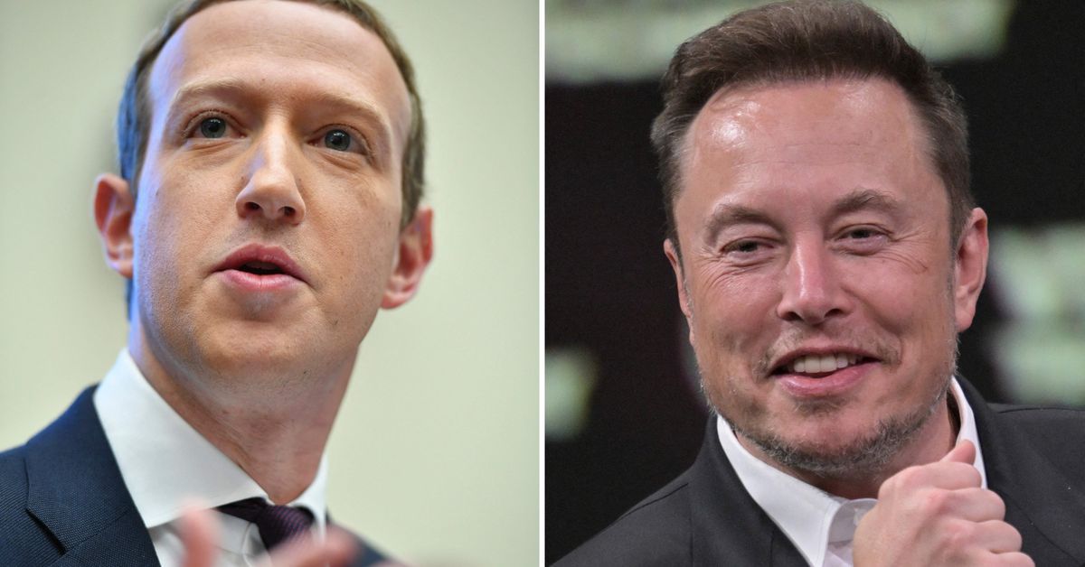 Elon Musk and Mark Zuckerberg: Are they really going to cage fight?