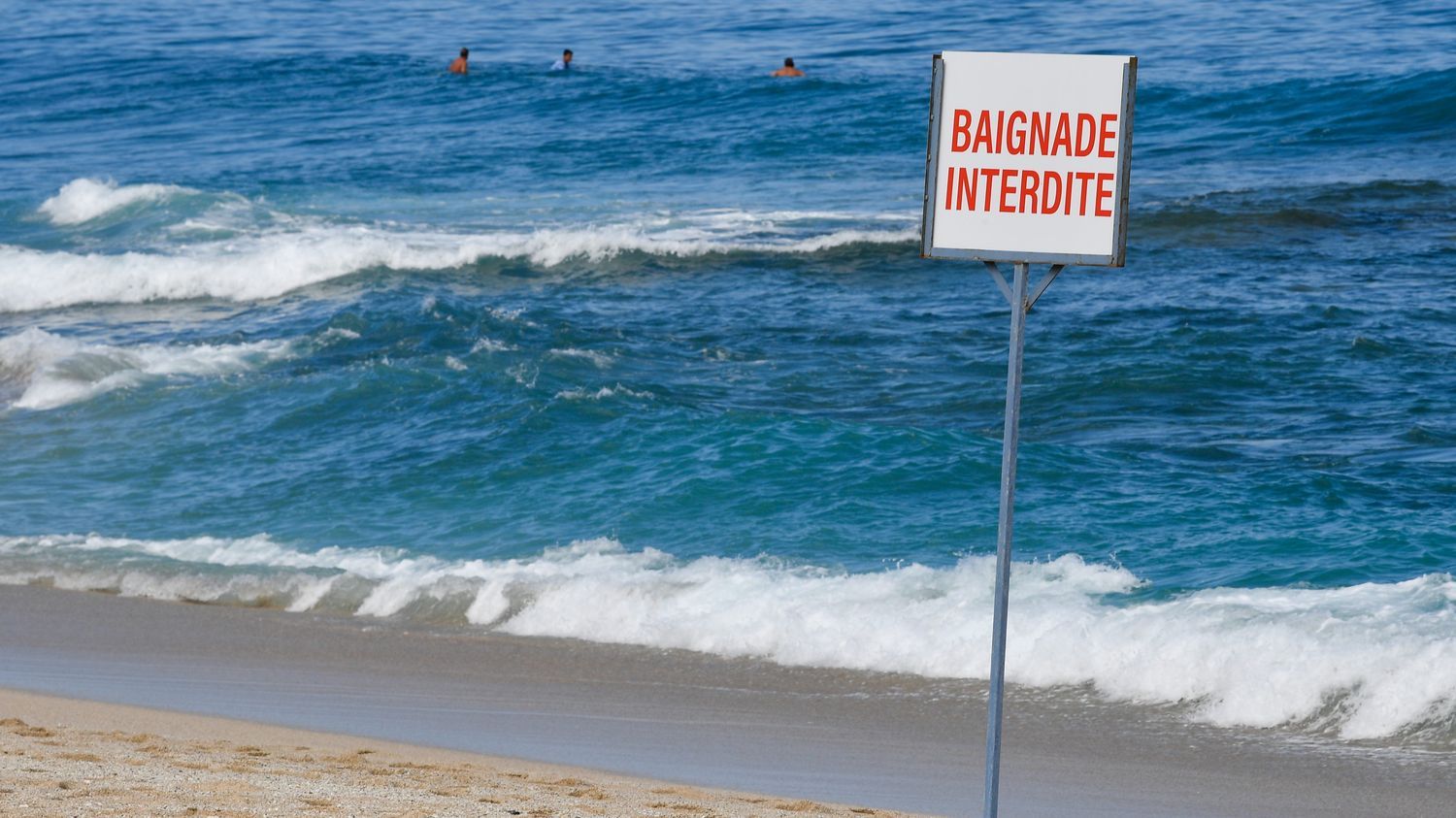 Pyrénées-Orientales : un requin aperçu au large du Barcarès, une plage évacuée