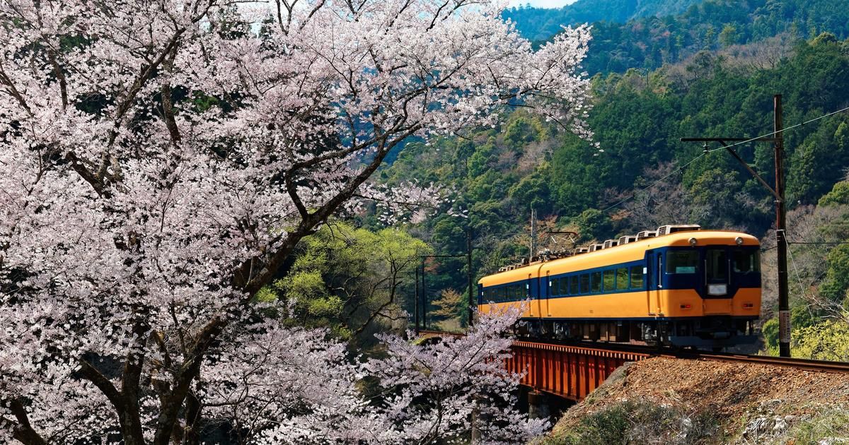 Japon : trois blessés dans une attaque au couteau dans un train