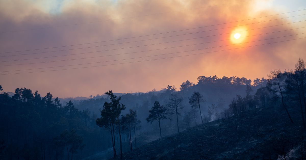 Rhodes wildfire forces thousands of evacuations, tourists flee