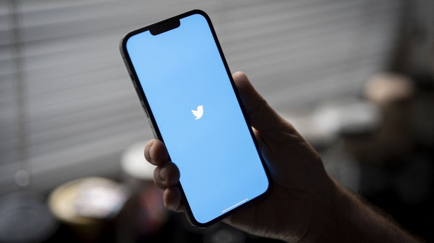 Elon Musk envisage un changement de nom et de logo pour Twitter