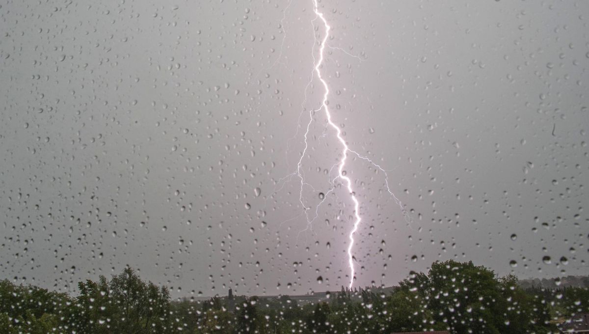 Feux de forêts, canicule, orages : des départements du sud et d'Auvergne-Rhône-Alpes en vigilance orange lundi