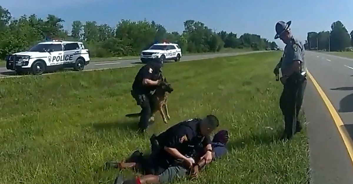 Black man attacked by Ohio police dog during traffic stop