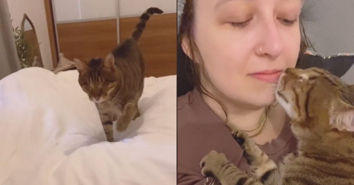 Une nouvelle vidéo de Dmitri le chat aveugle dévoile l'adorable rituel matinal qu'il partage avec son humaine