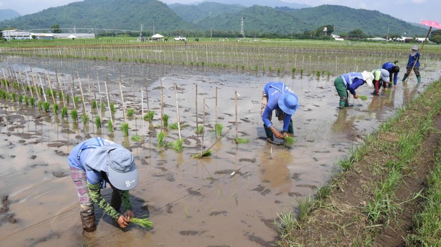 Severe Tropical Storm Doksuri strengthens as Philippines battens down