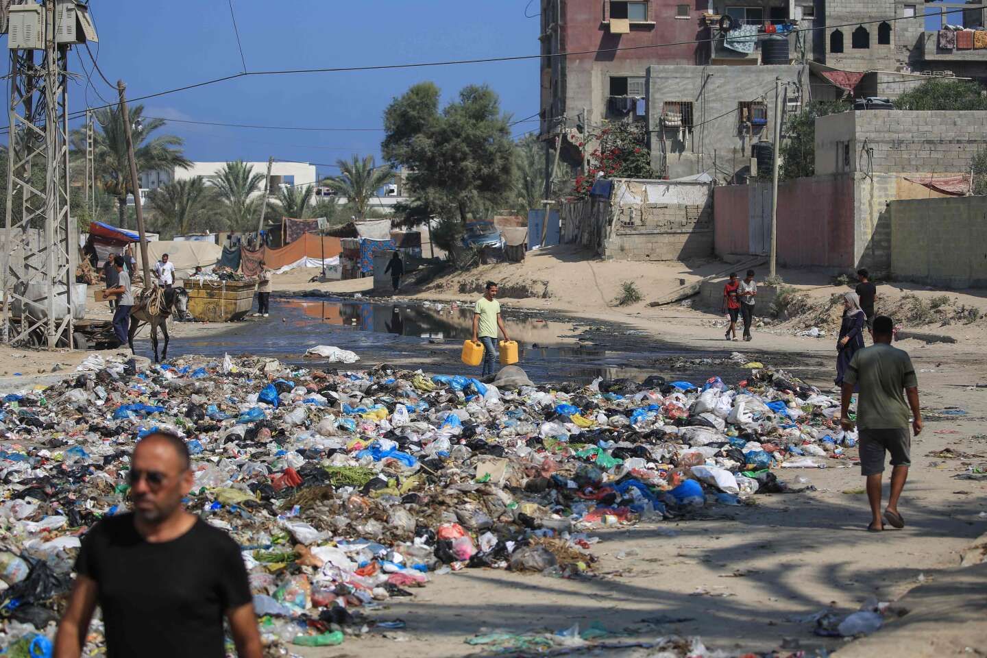 Israël-Hamas, jour 290 : l’OMS alerte sur les risques d’épidémies dans la bande de Gaza