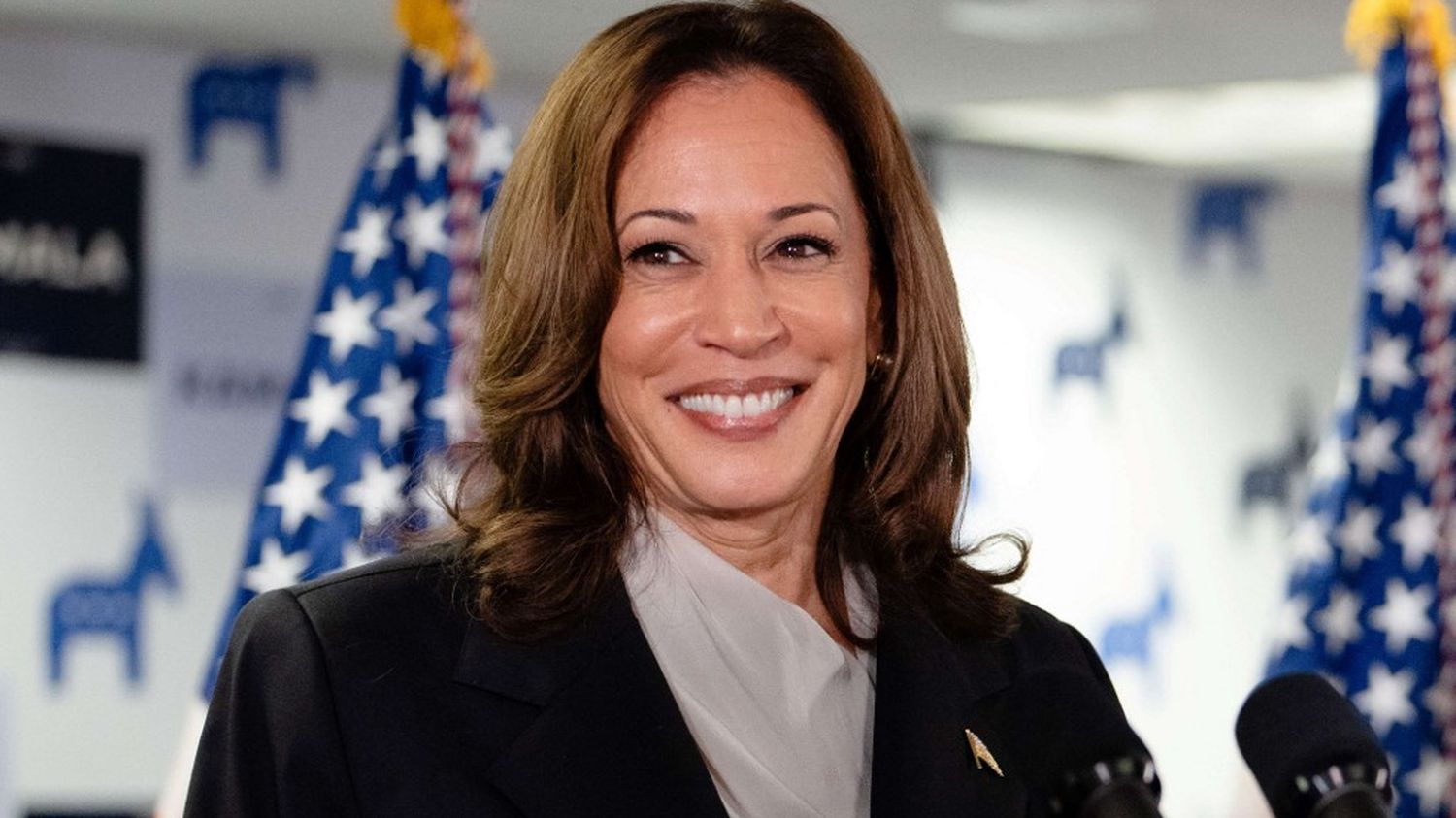 Présidentielle américaine 2024 : "Freedom" de Beyoncé sera l'hymne de la campagne de Kamala Harris