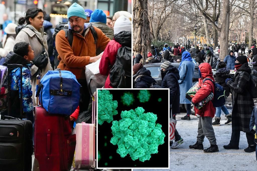 Social media users claim migrants behind norovirus spike